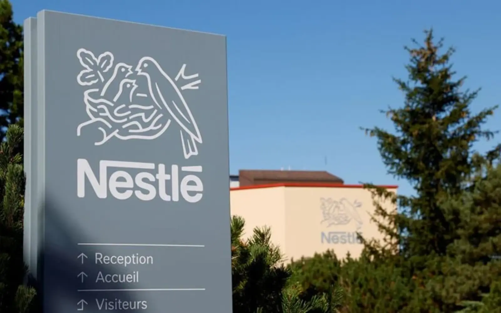 Cover Image for Nestle struggles amid weak China market
