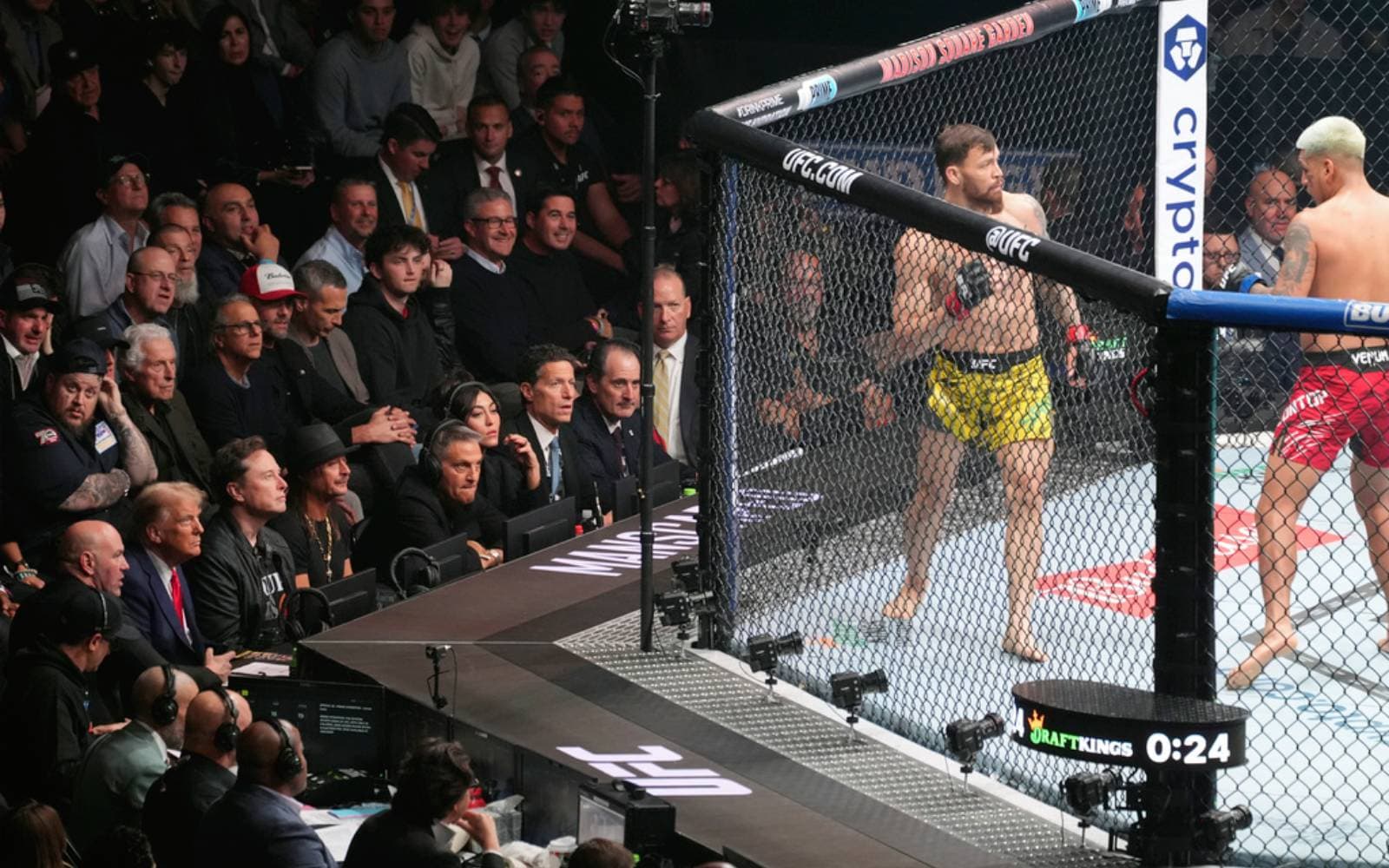 Cover Image for Trump planning UFC fight at White House for US’ 250th anniversary