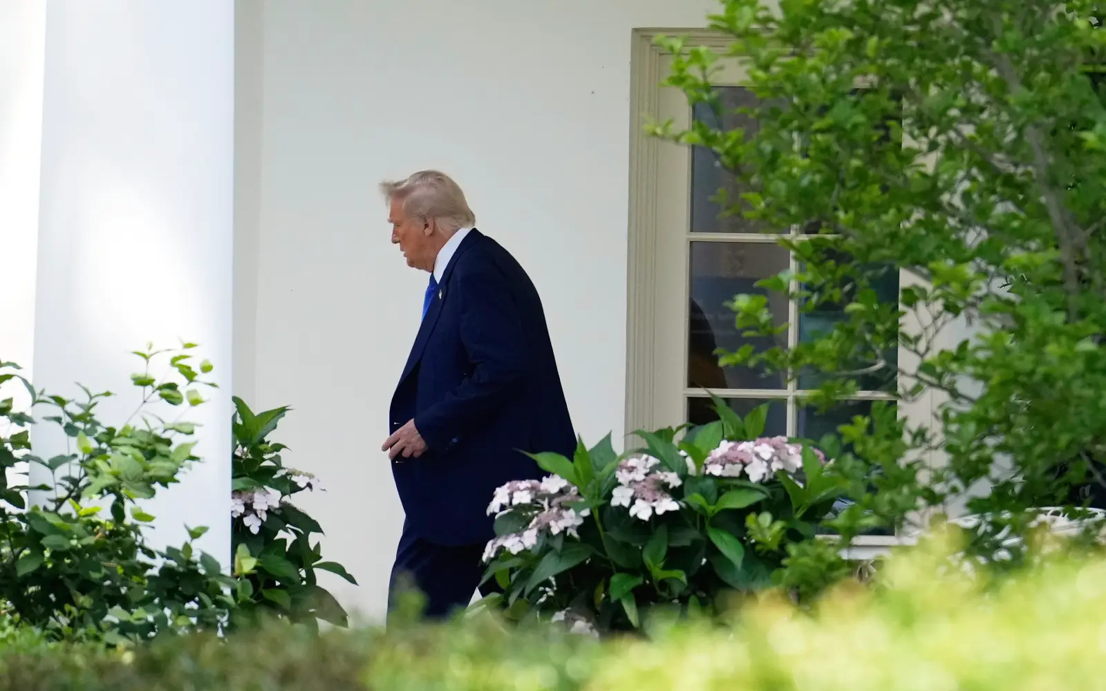 Cover Image for Trump ‘thinking’ of flying to Turkey for Ukraine-Russia talks