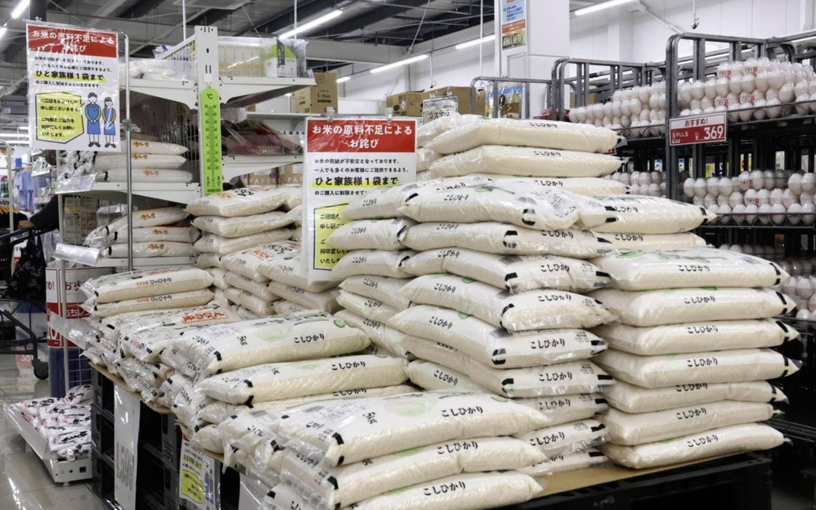 Cover Image for Japan pledges rice relief to prevent consumer shift to foreign brands