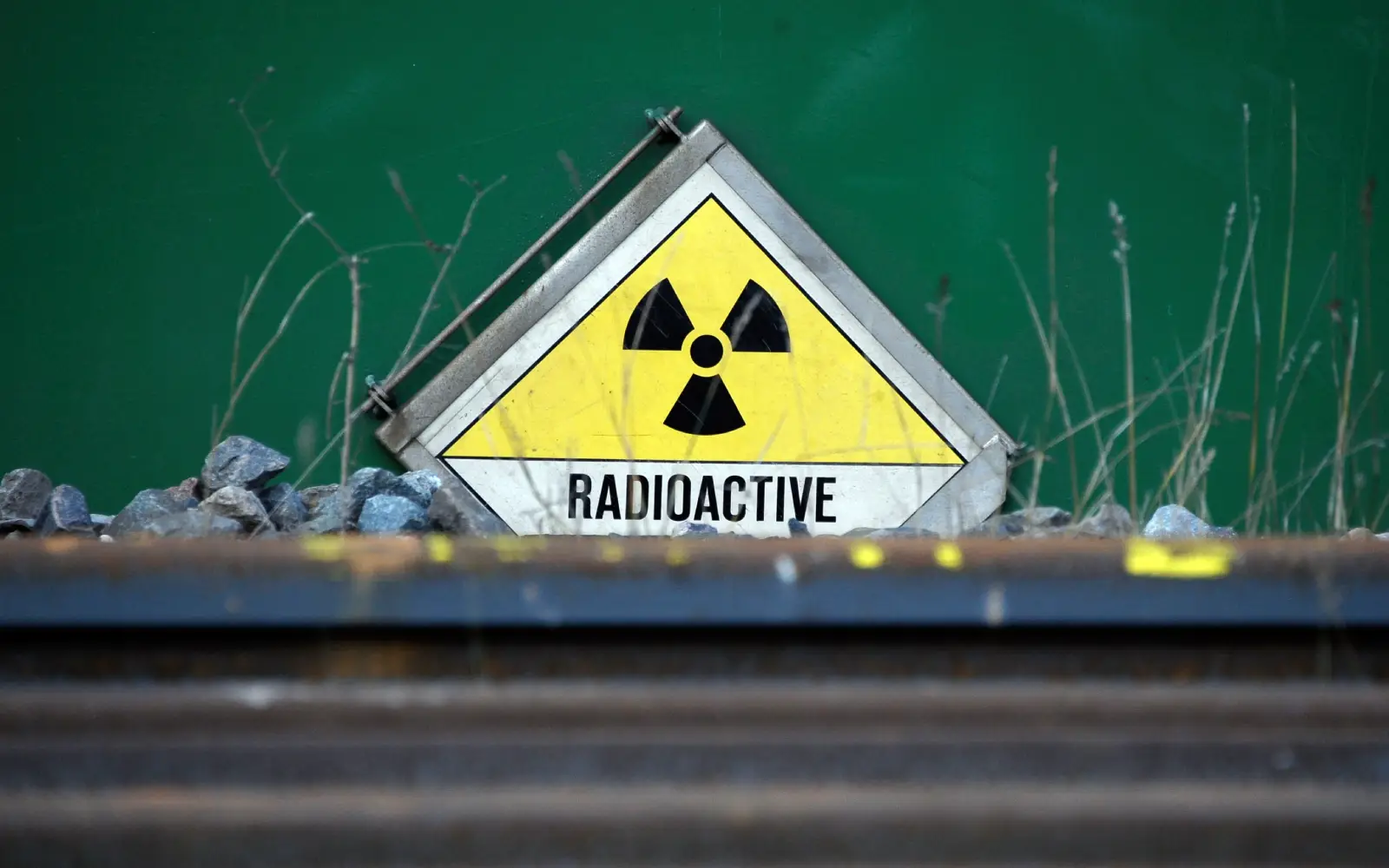 Cover Image for Indonesia detects traces of radiation at clove farm as probe expands