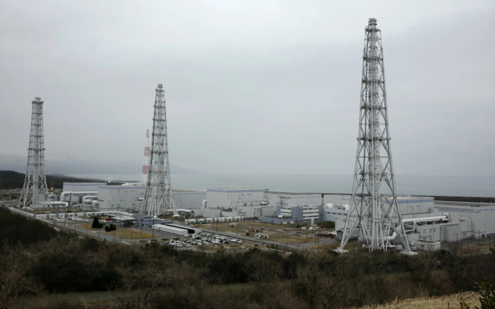 Cover Image for Japanese authorities approve restart of world’s biggest nuclear plant