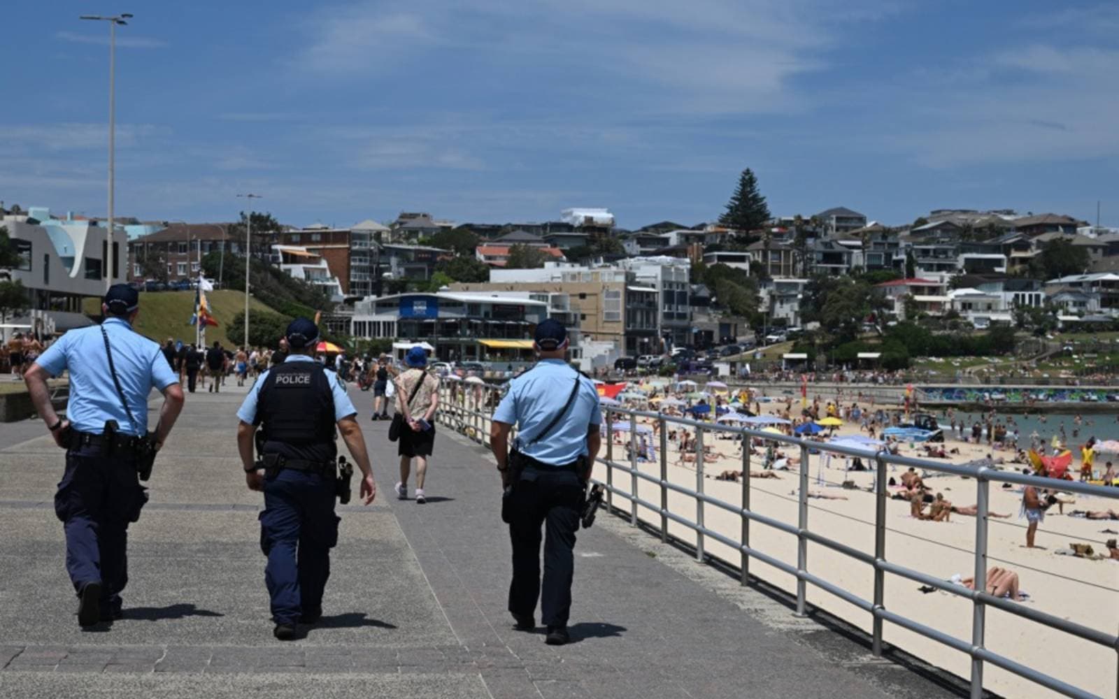 Cover Image for Police say alleged Bondi shooters conducted ‘tactical’ training in countryside