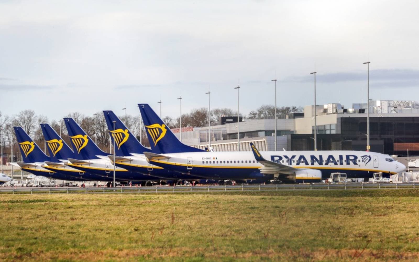 Cover Image for Elon Musk hints at buying Ryanair amid Starlink spat