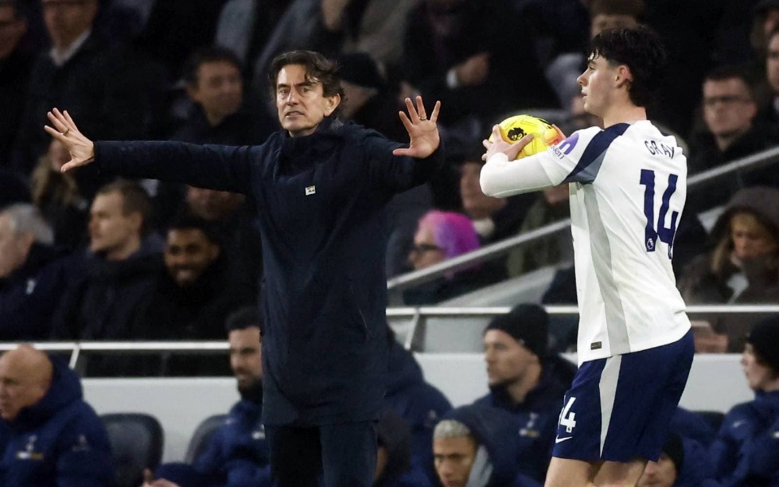 Cover Image for Frank confident of keeping Spurs job despite Newcastle defeat