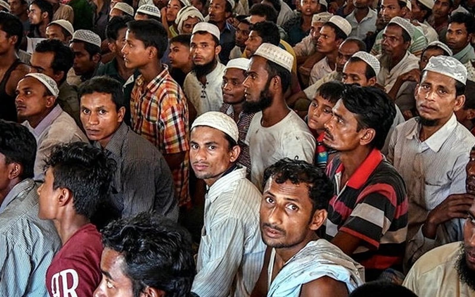 Cover Image for Factors in favour of a refugee registration system