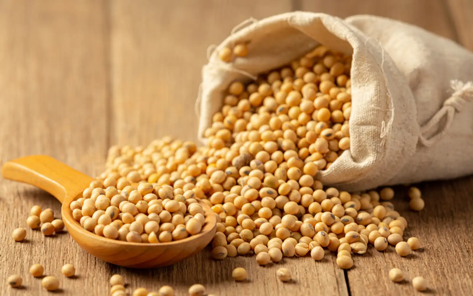 Cover Image for China to make substantial US soybean purchases, Bessent says