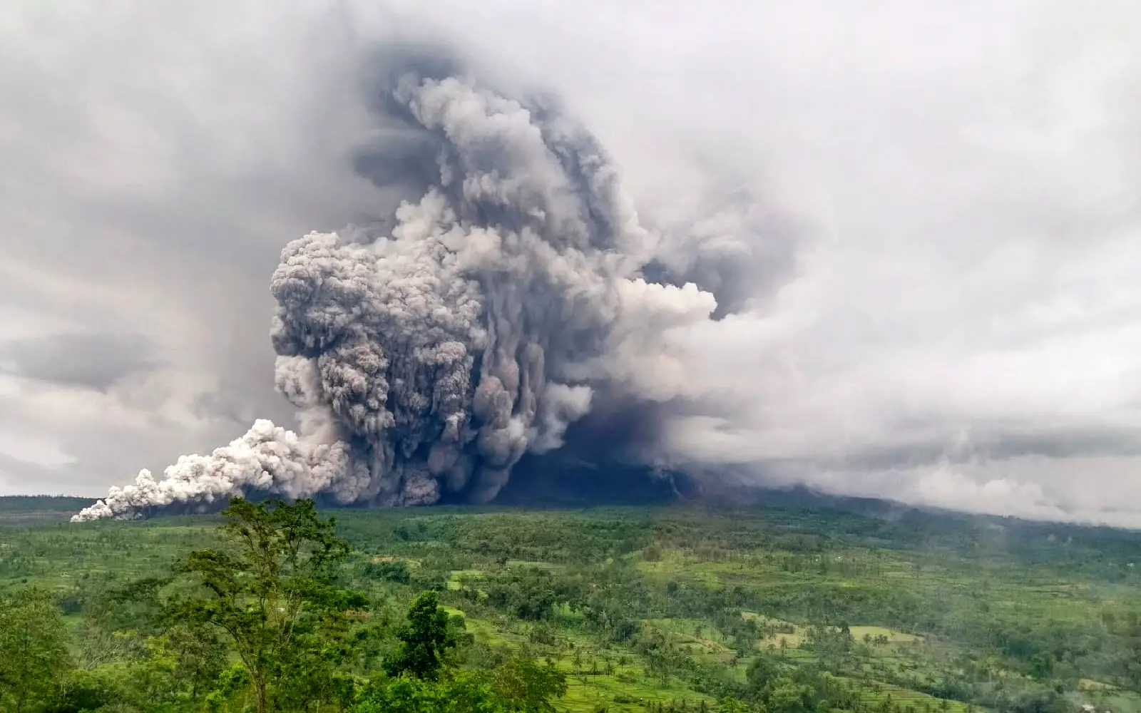 Cover Image for Indonesia evacuates stranded climbers after Semeru volcano erupts