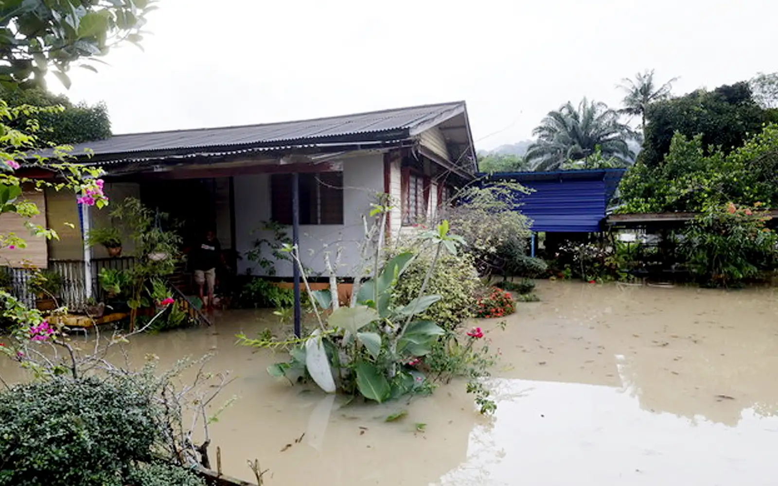 Cover Image for Mangsa banjir di 5 negeri meningkat