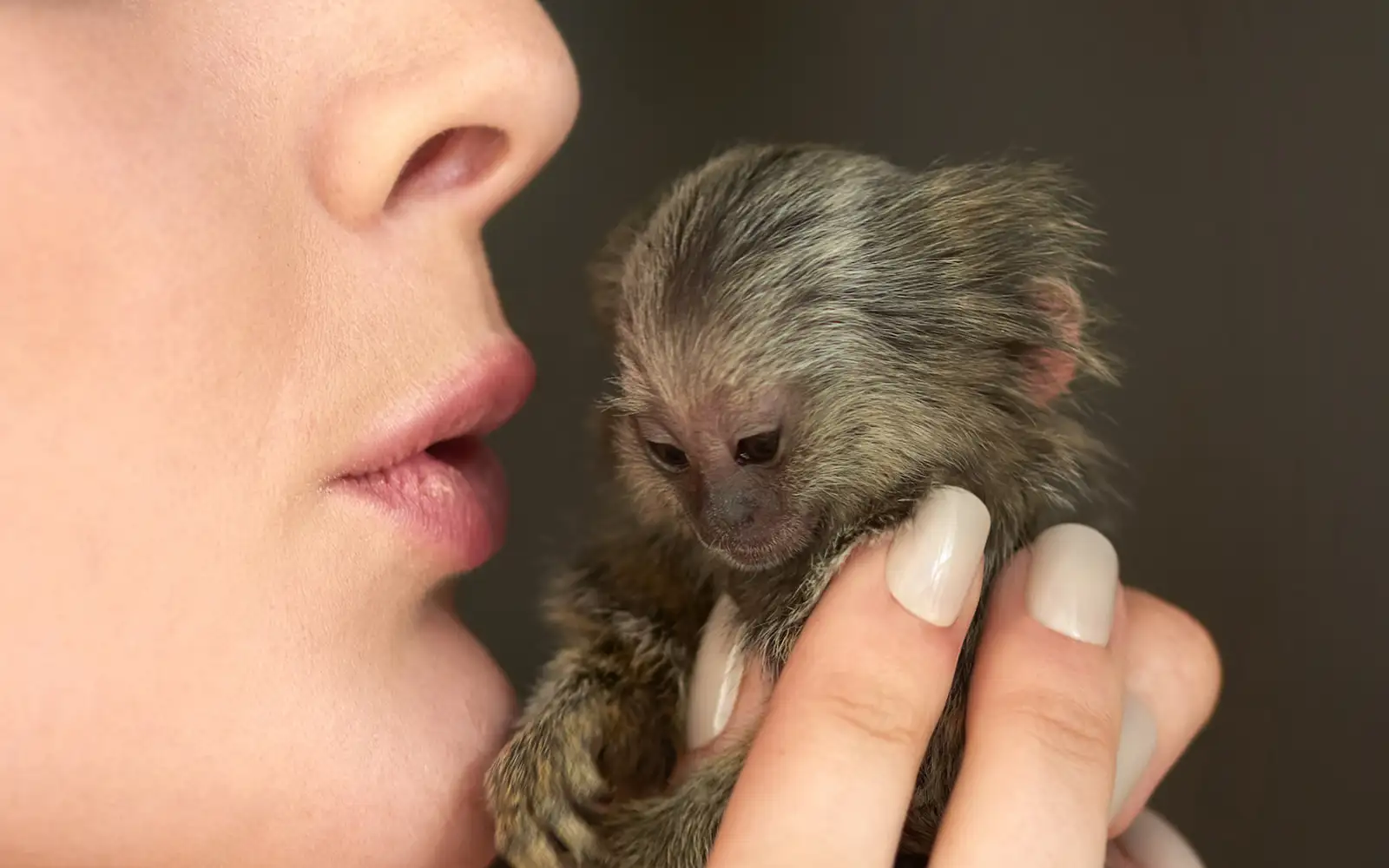 Cover Image for When was the world’s first-ever kiss?