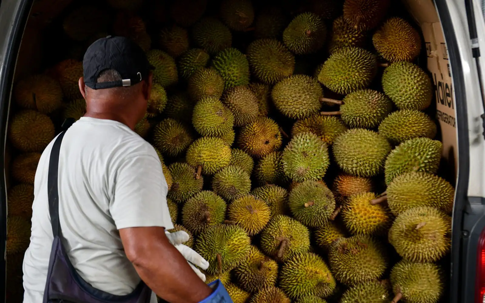Cover Image for Raub MP repeats call for Malaysian Durian Board