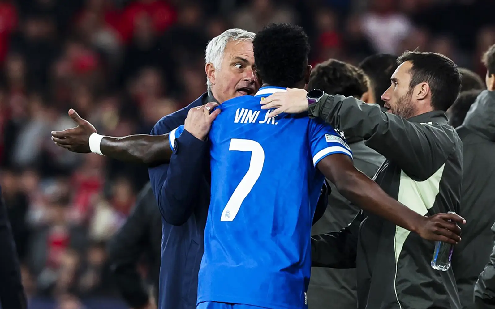 Cover Image for The Stupid One!