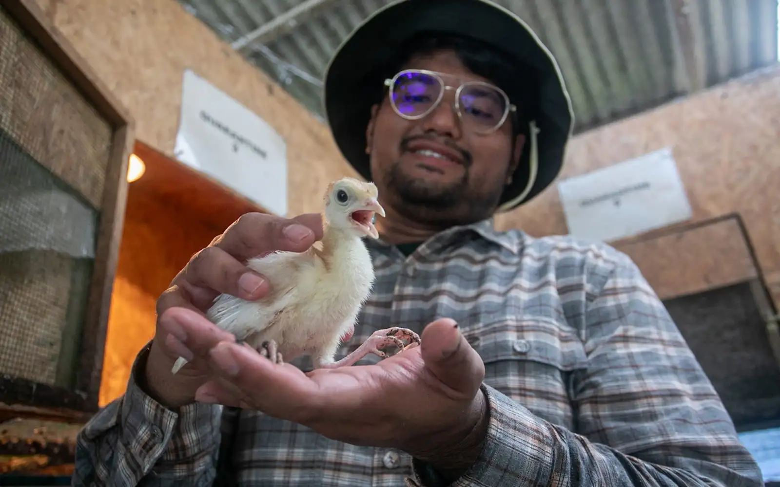 Cover Image for Psychology grad proves agriculture is a lucrative career